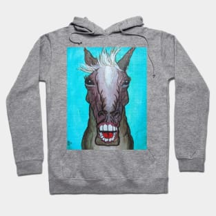 Horse Expressions Hoodie